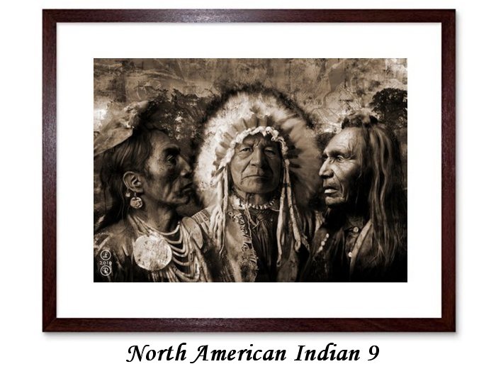 North American Indian Framed Prints